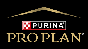 Pro Plan