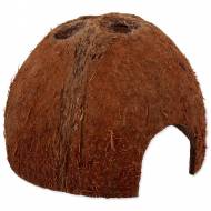 Dekorace a vybavení