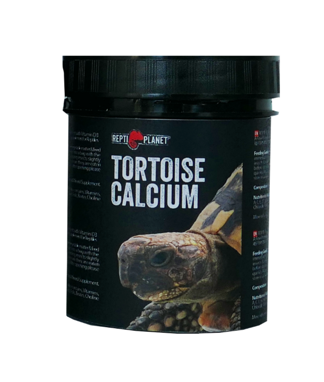 Vitamíny a doplňky stravy