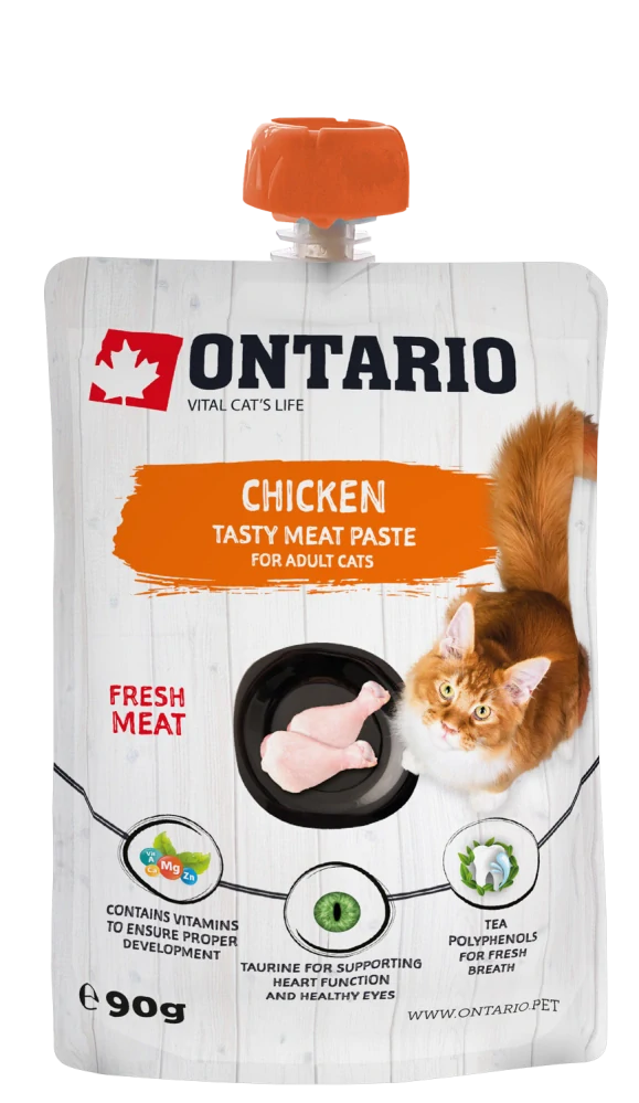 Pasta Ontario kuře 90g