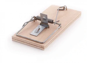 Past na myši dřevěná