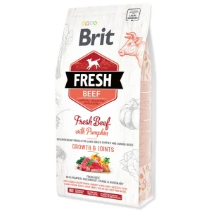 Brit Fresh Dog Beef & Pumpkin Puppy Large 2,5kg