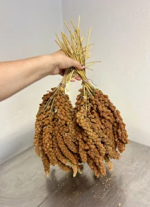 Senegalské proso klasy 500g