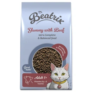 Beatrix Adult s hovězím 10kg