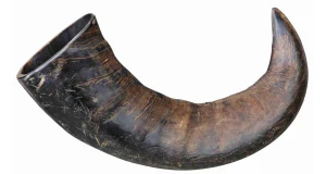 Originální buvolí žvýkací roh velký