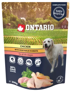 Kapsička Ontario kuřecí se zeleninou ve vývaru 300g