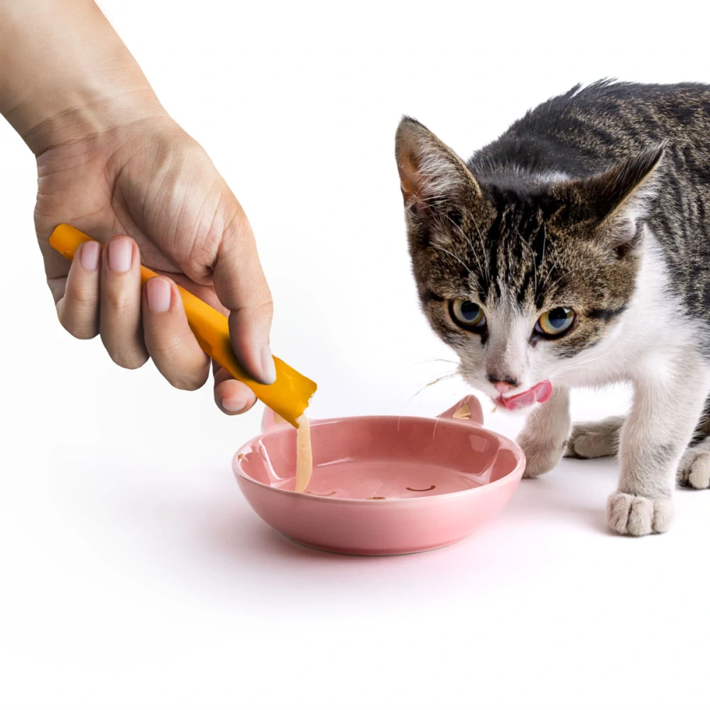 JK Creamy Cat Snack Chicken 5x15g