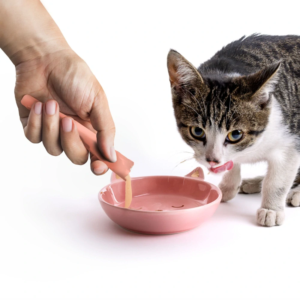 JK Creamy Cat Snack Salmon 5x15g