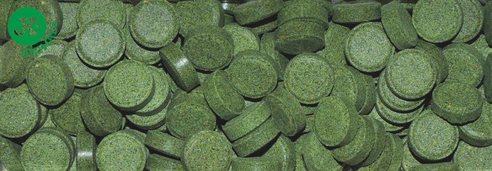 Dajana Tablety na sklo 100ml