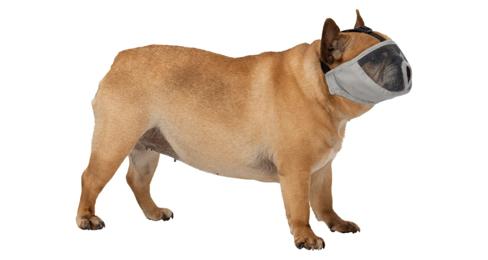 Náhubek pro krátkonosá plemena M